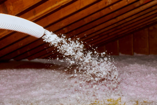Best Insulation Contractors for Homes  in Dunbar, SC
