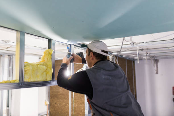 Best Insulation Inspection Services  in Dunbar, SC