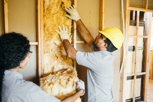 Best Local Insulation Services  in Dunbar, SC