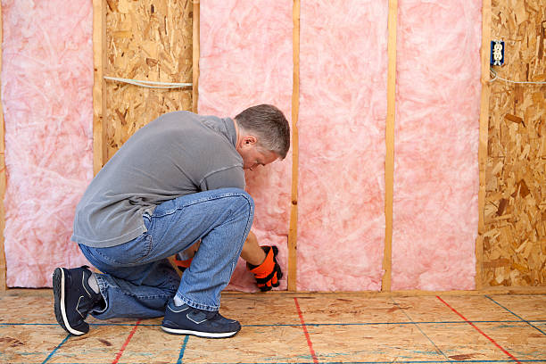 Best Insulation Installation Cost  in Dunbar, SC